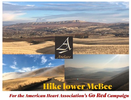 2025 Heart Association Go Red McBee Hike